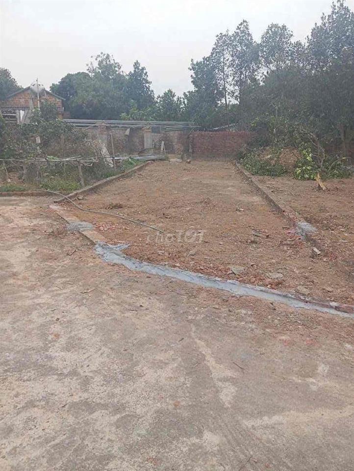đất nền hoà lạc