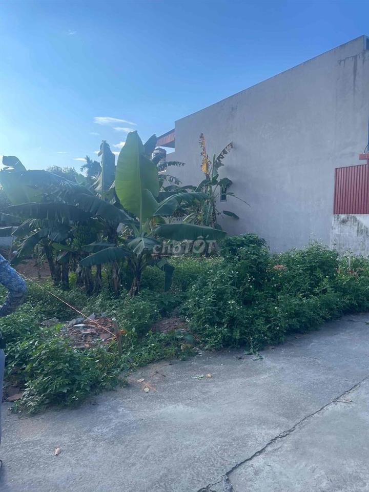 đất nền hoà lạc