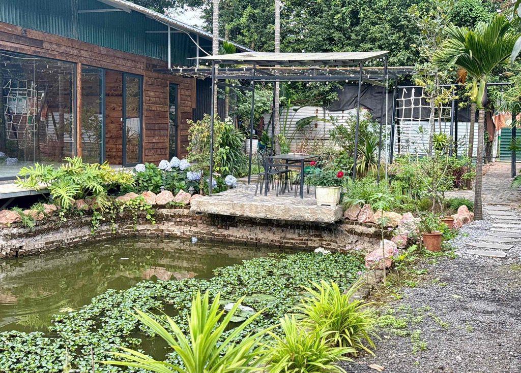 bán nhanh giá tốt