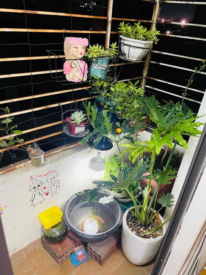 Cần bán nhà
