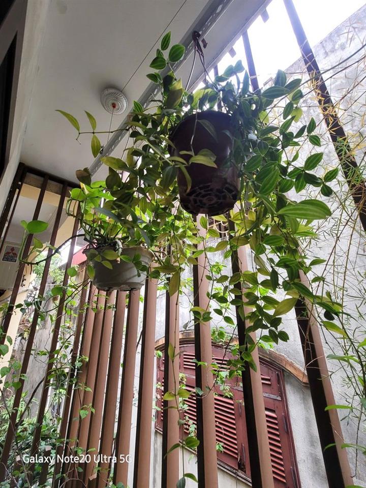 DUPLEX THÔNG TẦNG  NHÀ MẶT ĐẤT- KHƯƠNG MAI