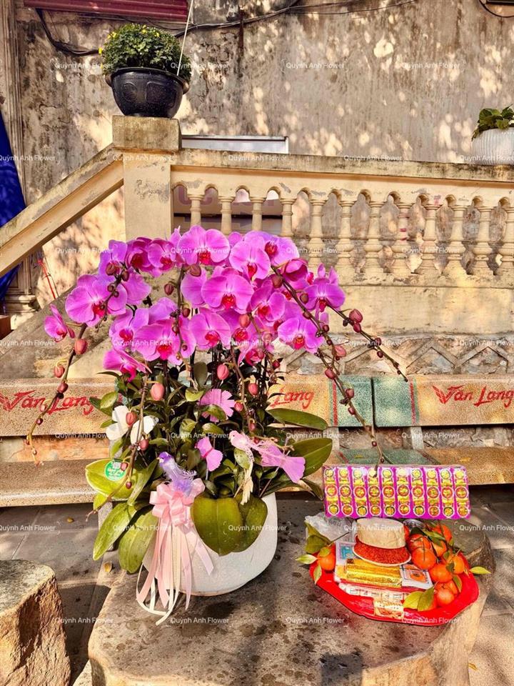 Chính chủ cho thuê nhà nguyên căn