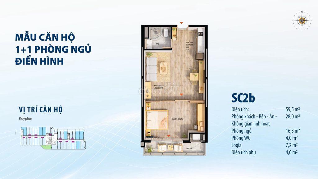 TTC PLAZA ĐÀ NẴNG CĂN HỘ TRUNG TÂM THÀNH PHỐ GIÁ CHỈ 48 TRIỆU/M2