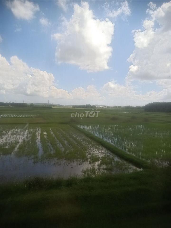Cc vicoland dg Vân Đồn cần bán giá rê