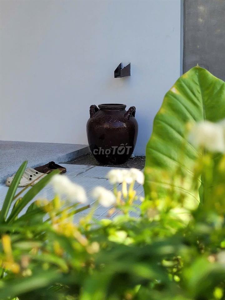  NHÀ VƯỜN 2 PHÒNG NGỦ MỚI – TRƯƠNG XUÂN NAM, NAM HÒA XUÂN - OK PET