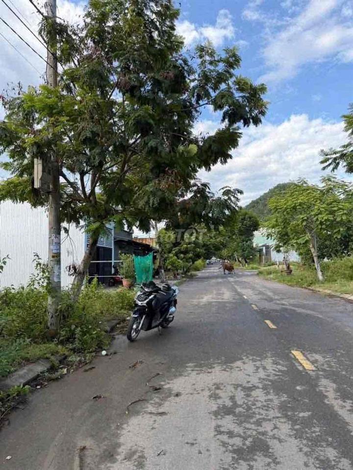 Bán lô đất mt đại la 2 liên chiểu gần Hoàng Văn Thái