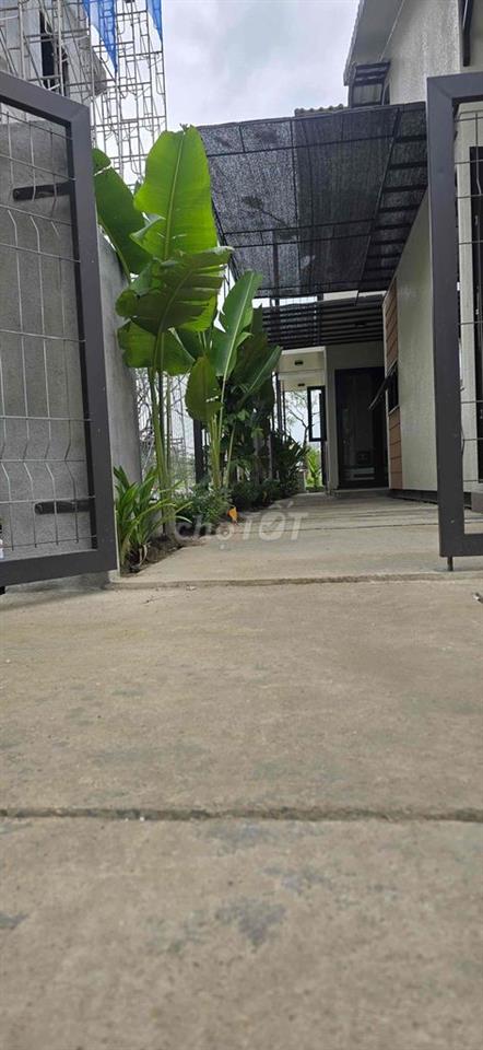 Cho thuê căn hộ sân vườn