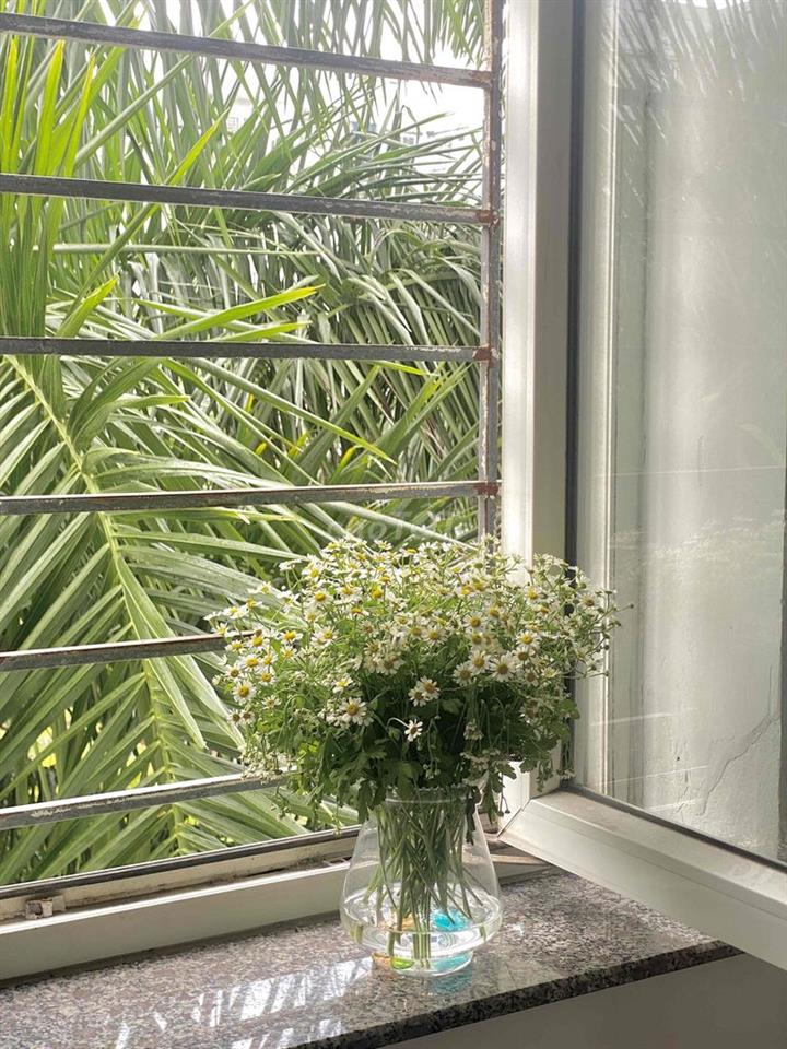 🏠 CHÍNH CHỦ CHO THUÊ CĂN HỘ VICOLAND – SƠN TRÀ, ĐÀ NẴNG