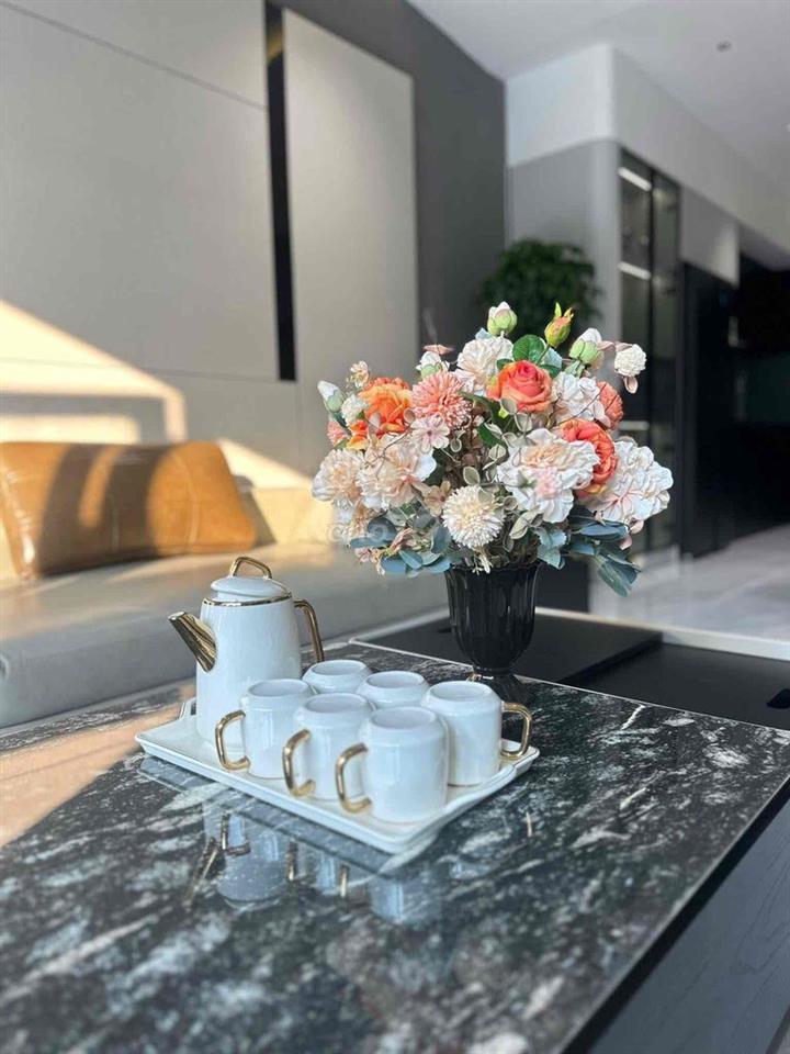 Bán Nhà vip Hoà Xuân Mới tây tứ trạch