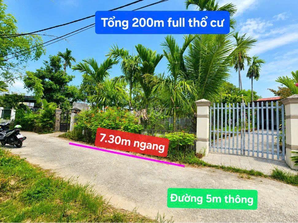 Lô Góc quá đẹp mà gi.á cực rẻ  🌟🌟 ngang rộng 8m vun vắn