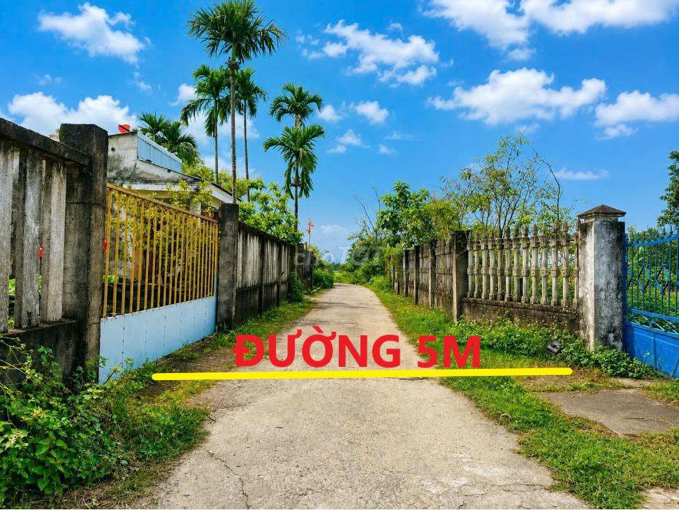 🌞CỤM 2 LÔ LIỀN KỀ, giá 1tỷ350/lô khu vực CHỢ ĐẦU MỐI HÒA XUÂN🌞