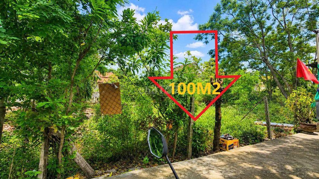 🌞Chỉ 1tỷ500tr--Sở hữu Lô Đất Đẹp Giá Rẻ khu CHỢ ĐẦU MỐI HÒA XUÂN🌞
