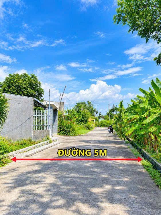 🌞BÁN GẤP--Lô Diện Tích Lớn Khu CHỢ ĐẦU MỐI HÒA XUÂN🌞