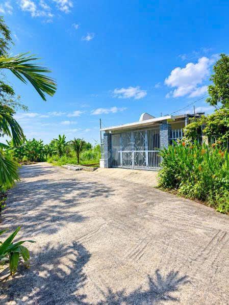 🌞BÁN GẤP--Lô Diện Tích Lớn Khu CHỢ ĐẦU MỐI HÒA XUÂN🌞
