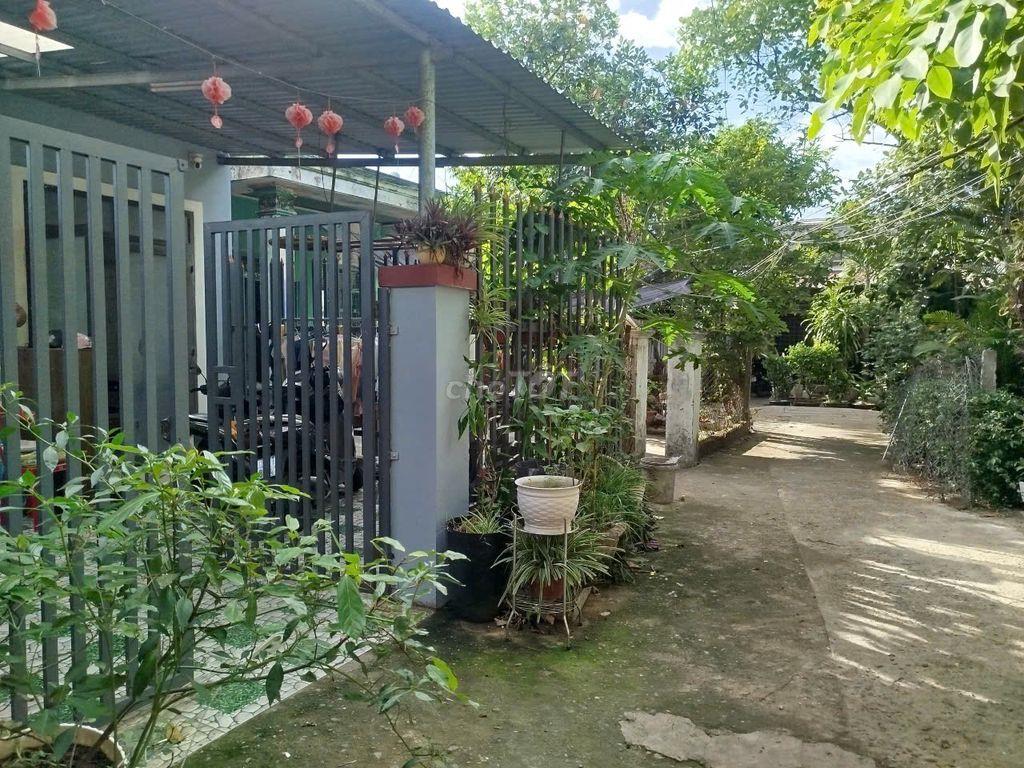 Bán nhà cấp 4 khu chợ Miếu Bông