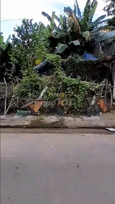 🔥 ĐẤT KHU TÁI ĐỊNH CƯ BẾN XE ĐỨC LONG – GIÁ SỤP HẦM 🔥
