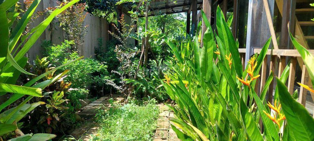 Bán biệt thự nhà vườn 380m2 có 349m2 đất ở, 2 mặt tiền quốc lộ 14G
