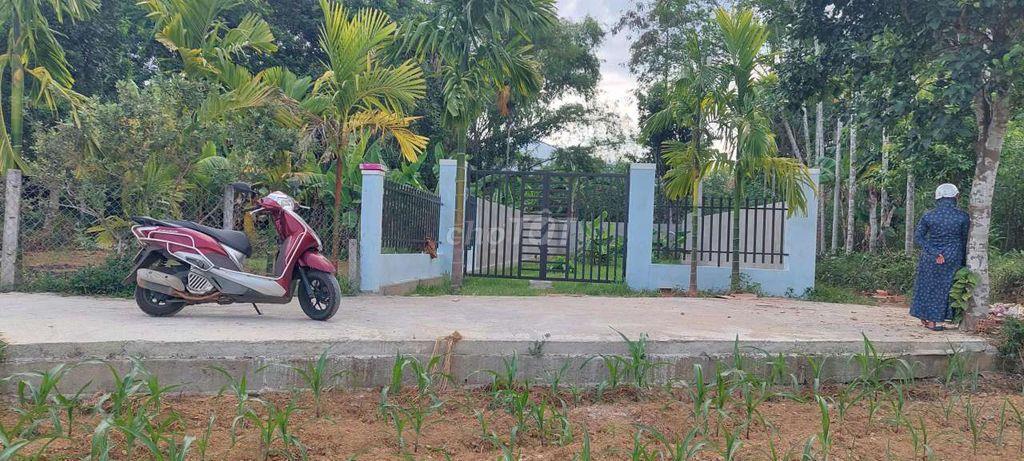 Đất view sông 2 mặt kiệt, 142m2 có 120m2 đã rào lưới cổng ngõ