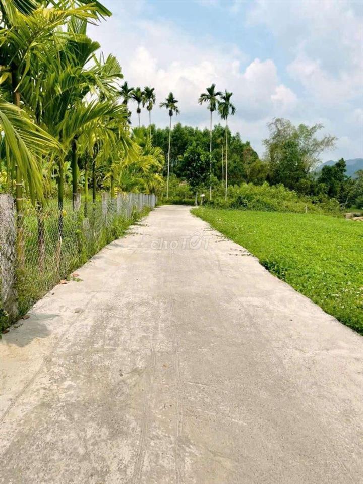 Đất view sông 2 mặt kiệt, 142m2 có 120m2 đã rào lưới cổng ngõ