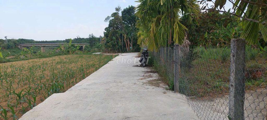 Đất view sông 2 mặt kiệt, 142m2 có 120m2 đã rào lưới cổng ngõ