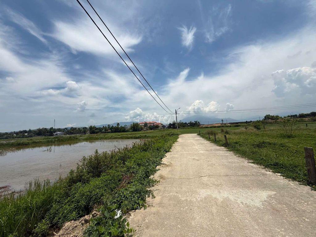 Siêu phẩm view hồ và view cánh đồng 900m2 có 500m2 đất ở 2 mặt kiệt 