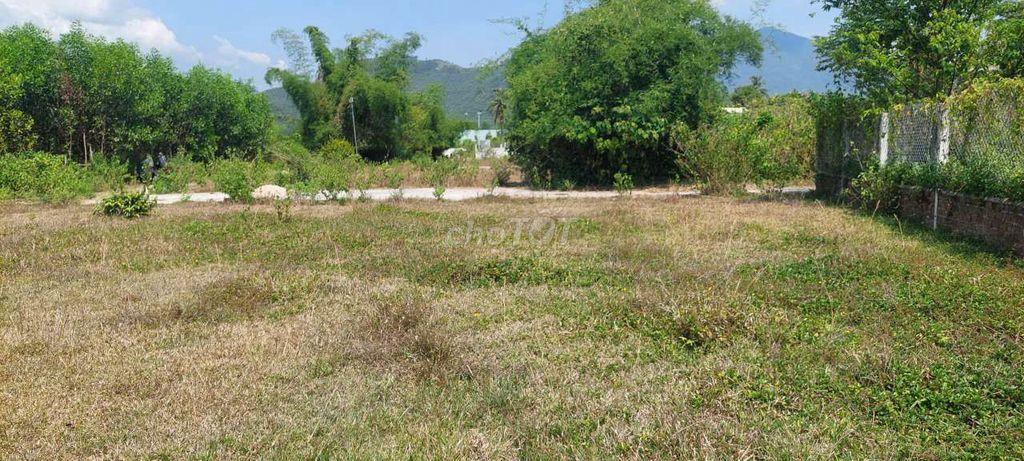 Đất xây nhà vườn 352m2 đất ở toàn bộ, ngang rộng 14m, gần đó có suối
