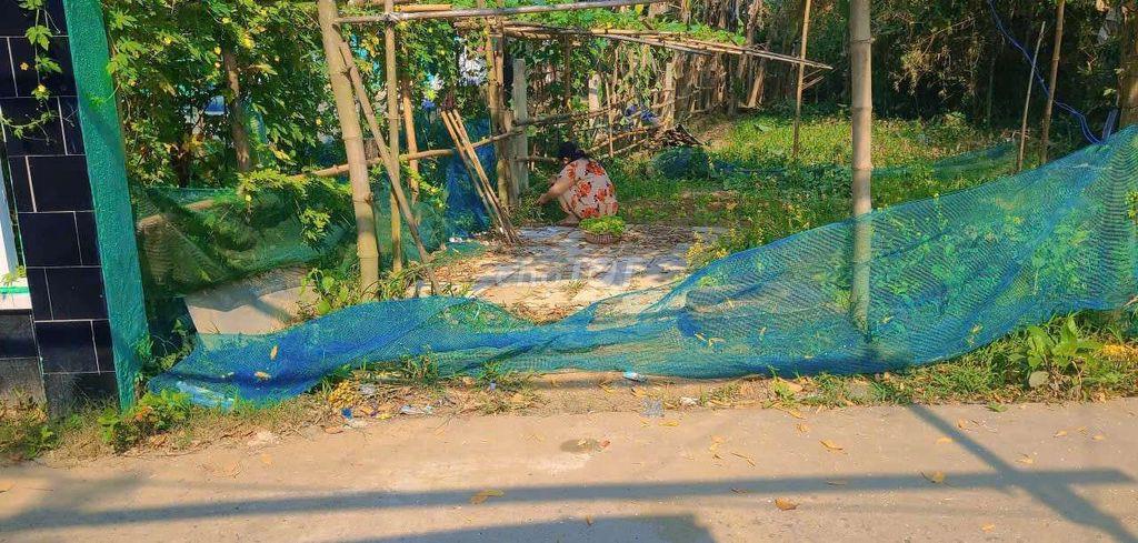 Bán đất thôn thạch bồ xã hòa vang, 168m2 ngang 7m đường oto thông