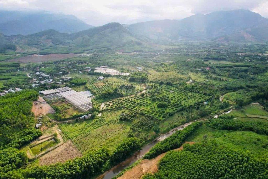 Đất trồng cây lâu năm 10.000m2 sát nam kỳ khởi nghĩa