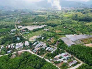 Đất trồng cây lâu năm 10.000m2 sát nam kỳ khởi nghĩa