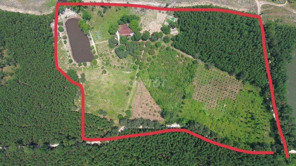 Bán đất làm trang trại, 35000m2 cây lâu năm có sẵng vườn ao chuồng