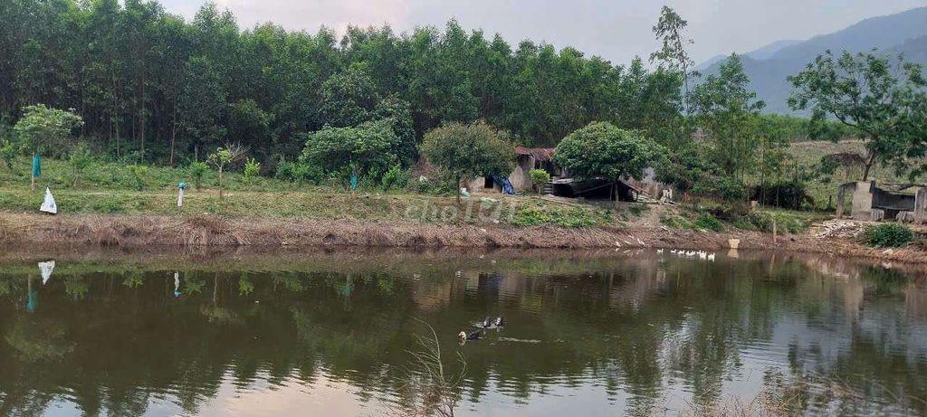 Bán đất làm trang trại, 35000m2 cây lâu năm có sẵng vườn ao chuồng