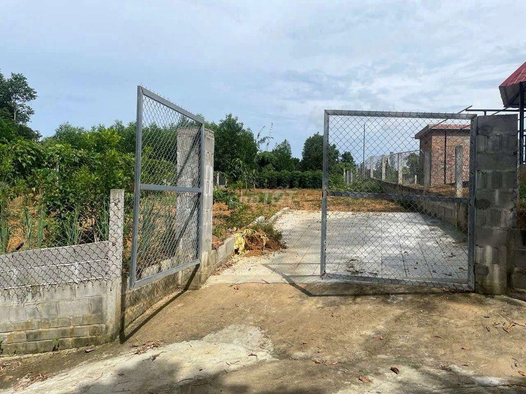 Đất xây nhà vườn gần đường vành đai, 300m2 có 150m2 đất ở ngang 10m.