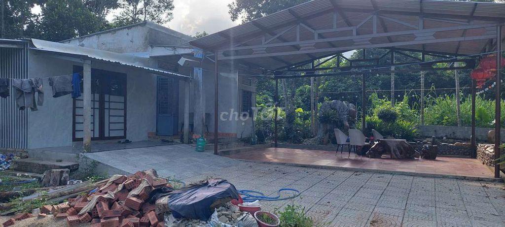 Bán nhà vườn 800m2 có 212m2 đất ở mặt tiền đường nhựa ngang rộng 15m