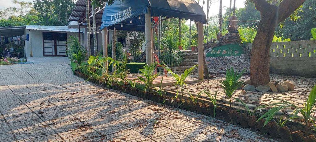 Bán nhà vườn 800m2 có 212m2 đất ở mặt tiền đường nhựa ngang rộng 15m