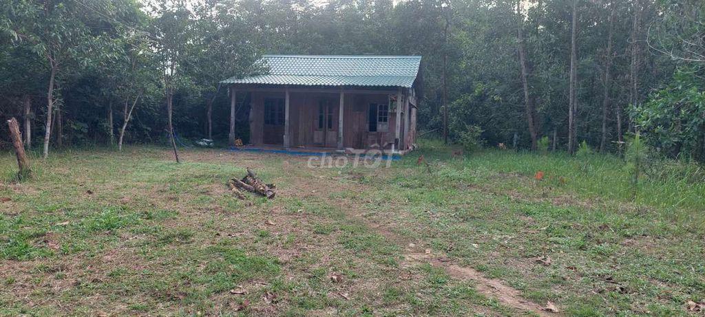 Bán nhà vườn 1000m2 có 133m2 đất ở đường nhựa ngang rộng 29m