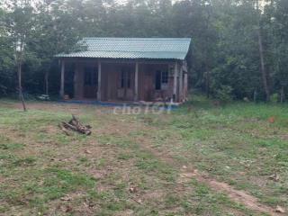 Bán nhà vườn 1000m2 có 133m2 đất ở đường nhựa ngang rộng 29m