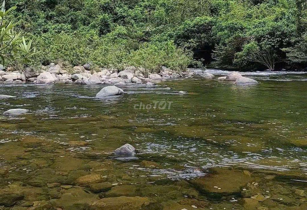 Bán nhà vườn 1000m2 có 133m2 đất ở đường nhựa ngang rộng 29m
