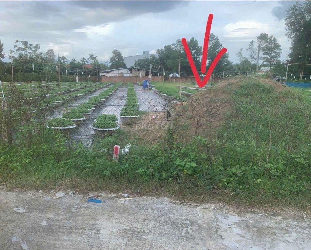 Đất đầu tư dài hạn, 237m2 đất.trồng cây hằng năm chuyển đổi mục đích