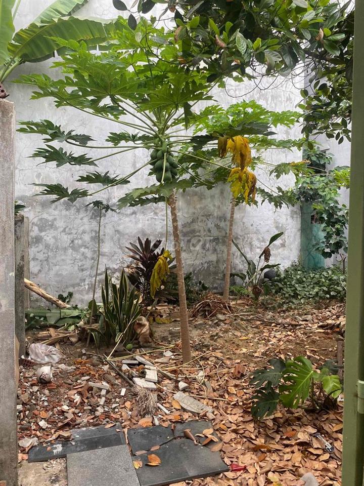 BÁN NHÀ CẤP 4 SÂN VƯỜN CỰC XINH – 109m² – TRUNG TÂM SƠN TRÀ - ĐÀ NẴNG