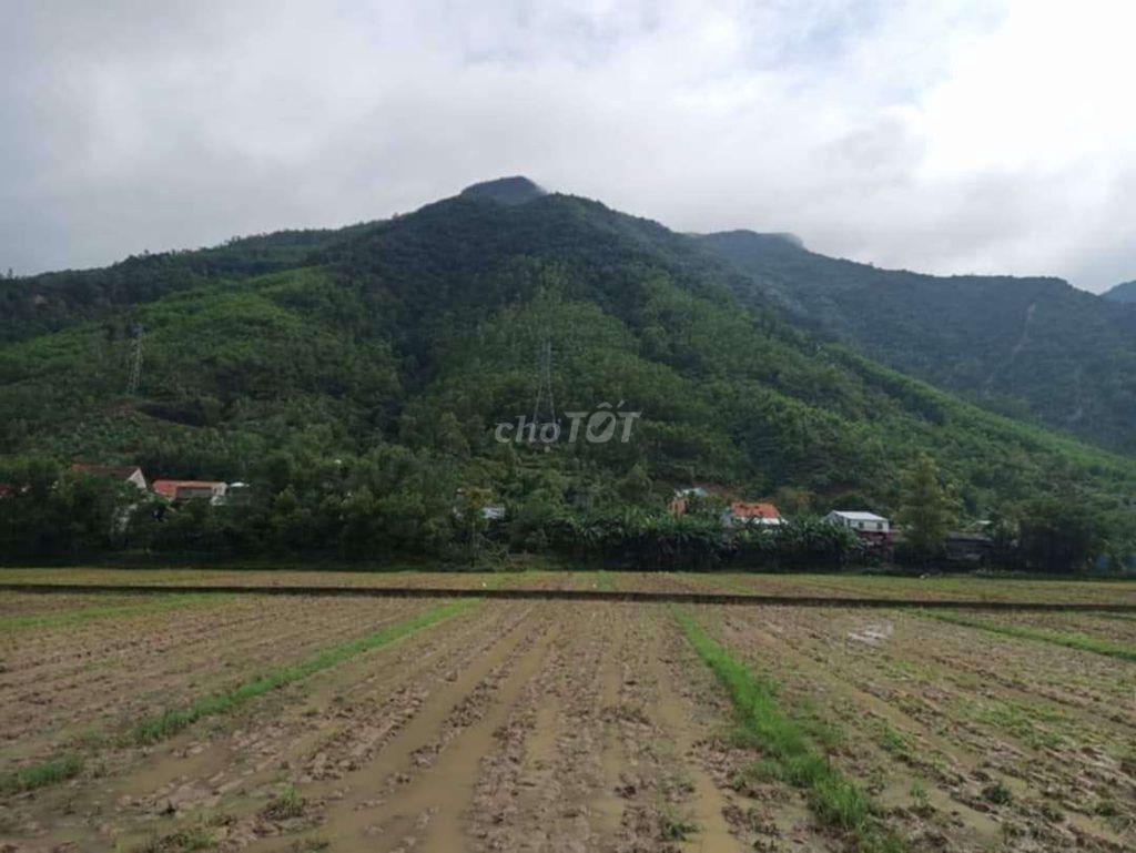 CHÍNH CHỦ ĐẤT HÀ NHA ĐẠI HỒNG ĐÀ NẴNG MỚI