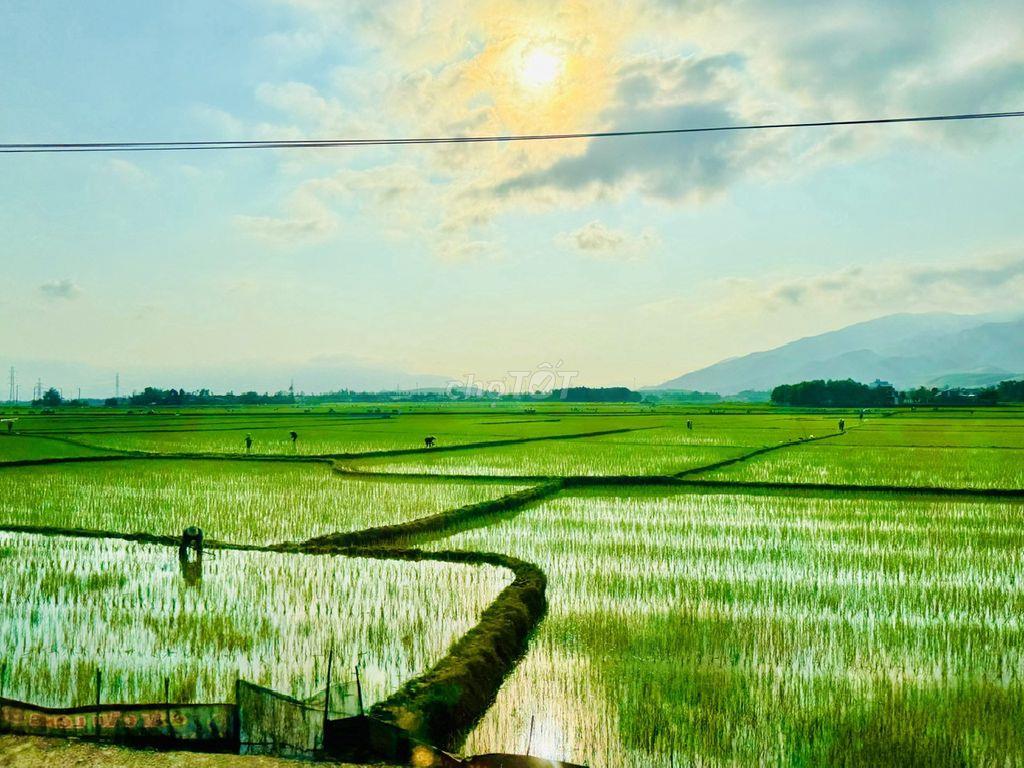 Cc cần bán đất Hoà Tiến