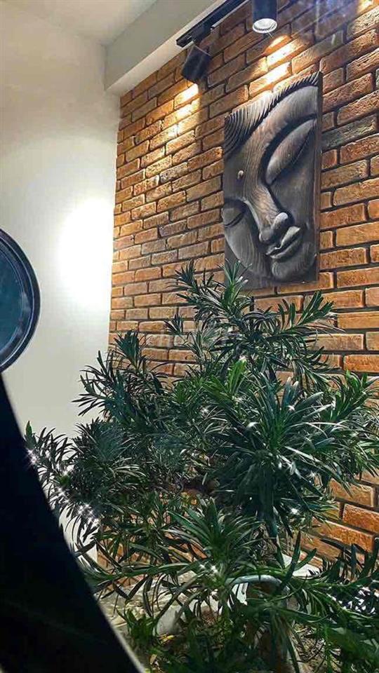 Homestay nhà 3 tầng lô góc 2 mặt tiền đường Phan Bôi  trung tâm khu ph