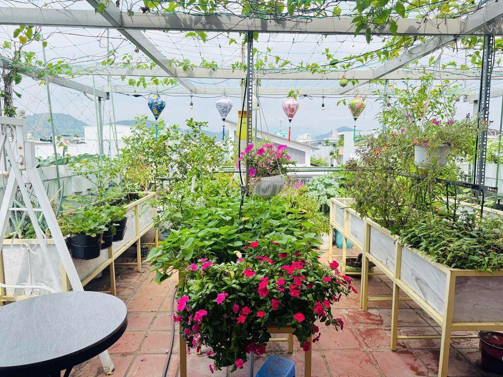 NHÀ SÂN VƯỜN XANH MÁT & ĐIỆN NĂNG LƯỢNG MẶT TRỜI – ĐƯỜNG TRẦN CAN 🌿☀️