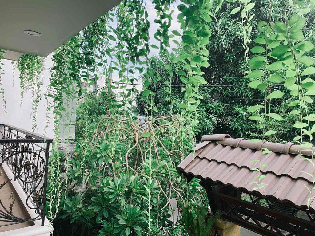 Biệt Thự Phú Lộc Gần Biển 12,3 Tỷ