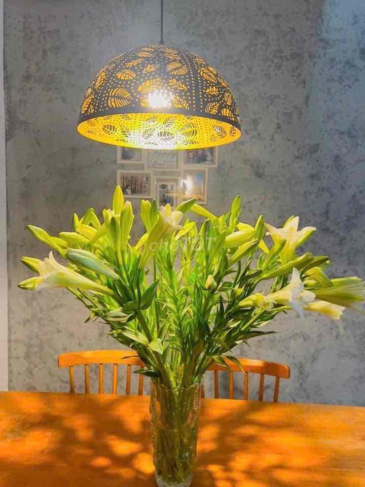 🏡 CHO THUÊ NHÀ NGUYÊN CĂN – KHU NAM VIỆT Á, ĐÀ NẴNG