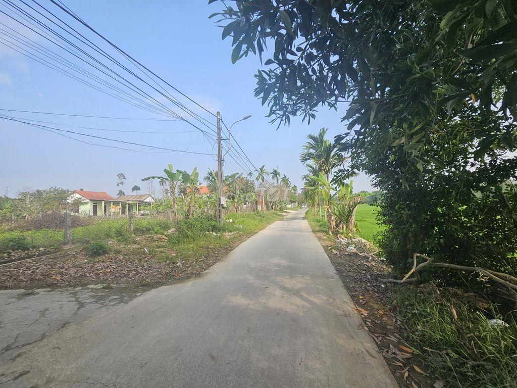 BÁN ĐẤT ĐƯỜNG ĐẶNG ĐỨC TUẤN - THỦY BIỀU - HUẾ