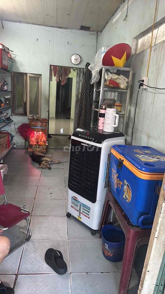 cho thuê nhà ở và kinh doanh buôn bán