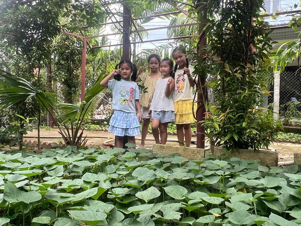 Cho thuê nhà vườn ( Kiểu Homestay) tại thôn Hoà Phú( gần núi thần tài)