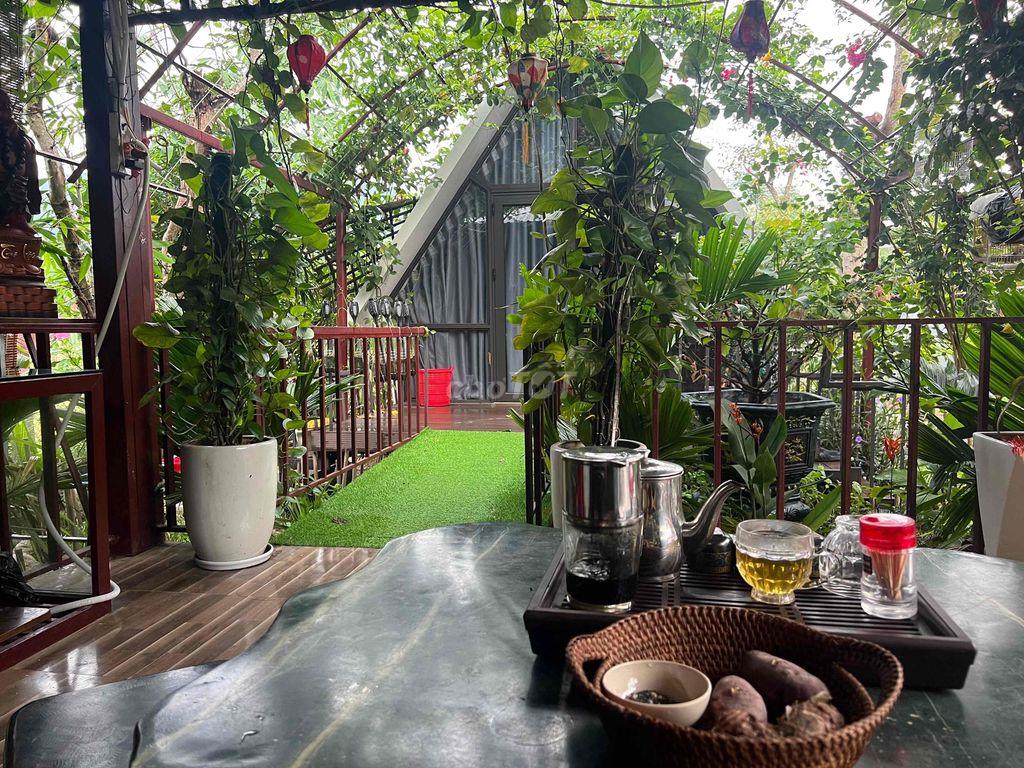 Cho thuê nhà vườn ( Kiểu Homestay) tại thôn Hoà Phú( gần núi thần tài)