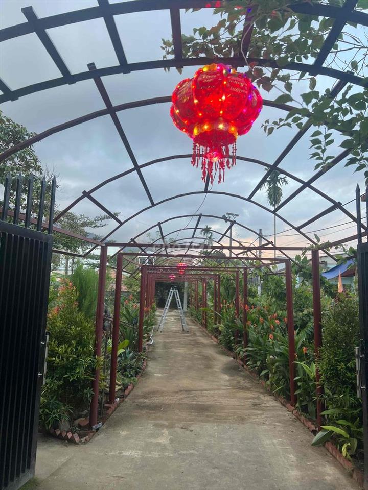 Cho thuê nhà vườn ( Kiểu Homestay) tại thôn Hoà Phú( gần núi thần tài)